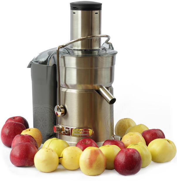 Соковыжималка для яблок купить. Профессиональная соковыжималка professional Juicer. Соковыжималка Промышленная Су-3.5. Валберис соковыжималка шнековая. Шнековая соковыжималка ДНС.